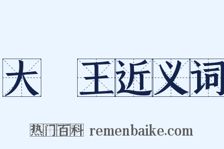 大醫王近义词是什么意思的图片